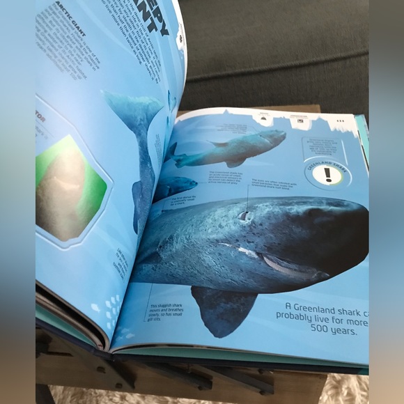 Ice Chilling Stories From A Disappearing World Hardback Coffee Table Book - Picture 5 of 9